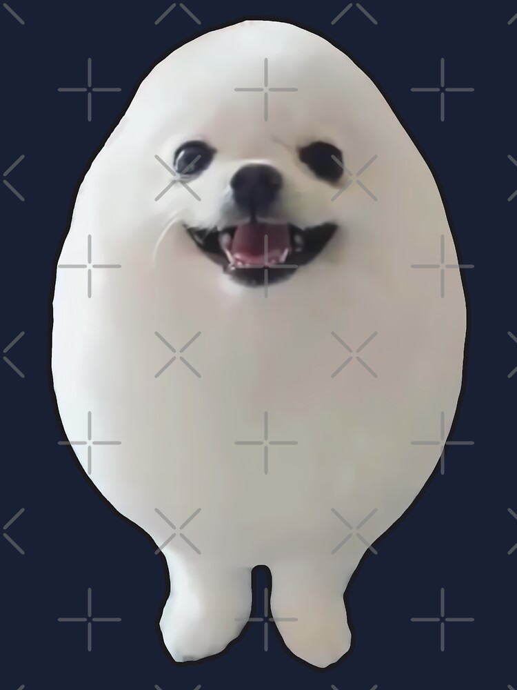 Funny EGGDOG Meme (Egg Dog White Pomeranian HQ)\