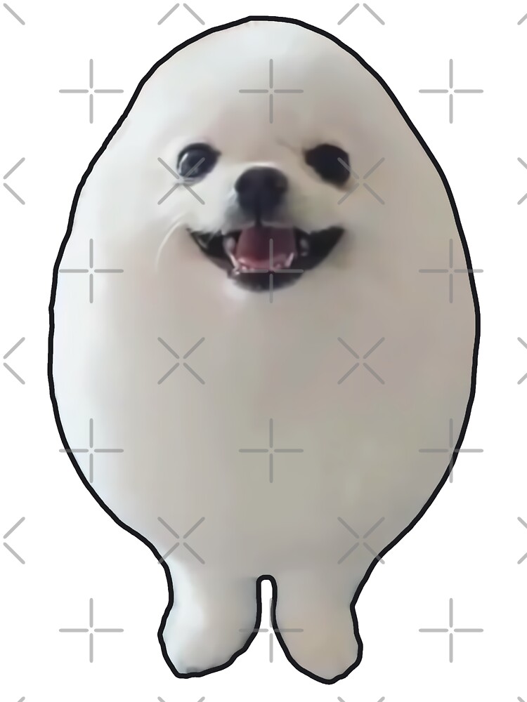 Funny EGGDOG Meme (Egg Dog White Pomeranian HQ)\