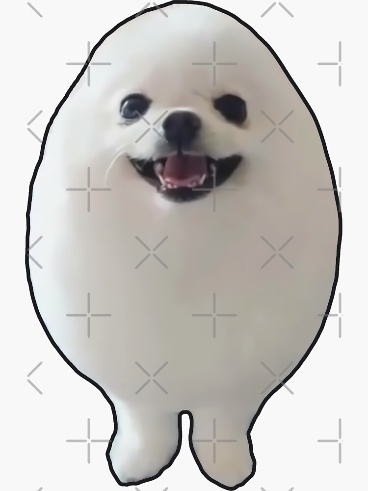 Funny EGGDOG Meme (Egg Dog White Pomeranian HQ)\