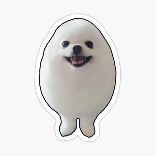 "Funny EGGDOG Meme (Egg Dog White Pomeranian HQ)" Sticker for Sale by