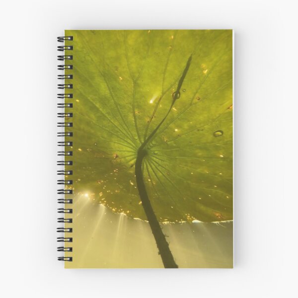Item preview, lily pad designed and sold by Ella Stoltz.