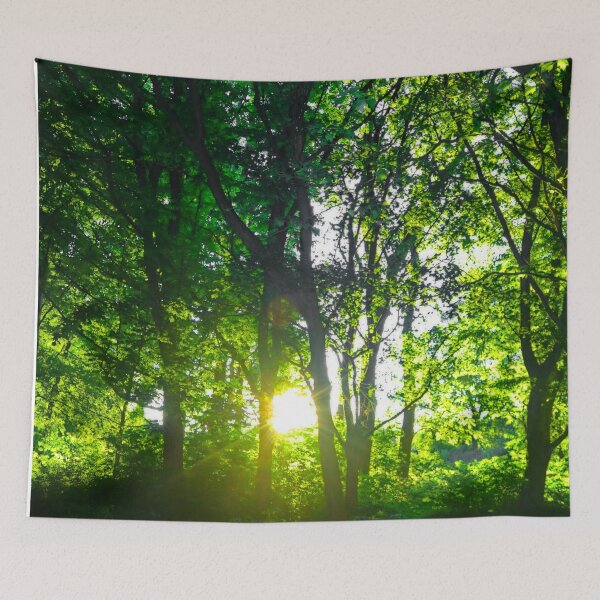 Item preview, Light Rays Through the Trees Late Afternoon  designed and sold by BritishYank.
