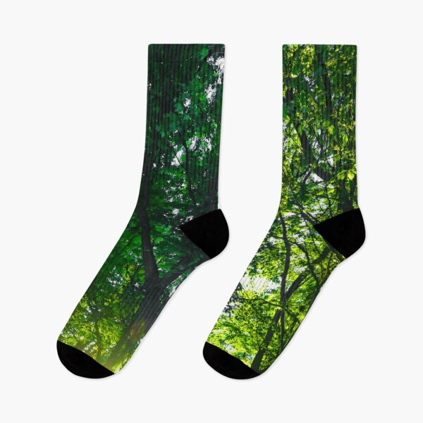 Item preview, Light Rays Through the Trees Late Afternoon  designed and sold by BritishYank.