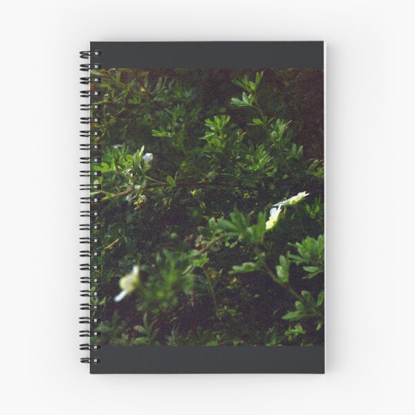Item preview, Flowers on Film designed and sold by Ella Stoltz.