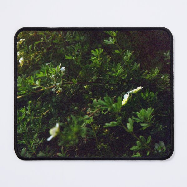 Item preview, Flowers on Film designed and sold by Ella Stoltz.