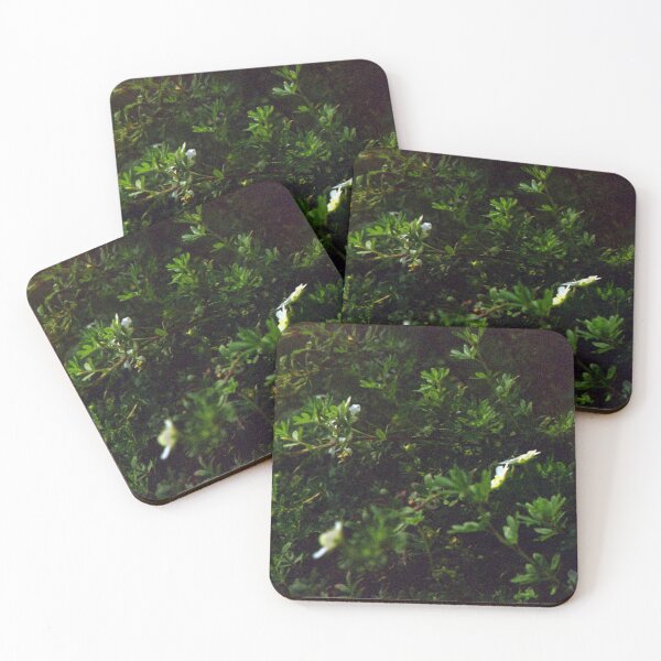 Item preview, Flowers on Film designed and sold by Ella Stoltz.