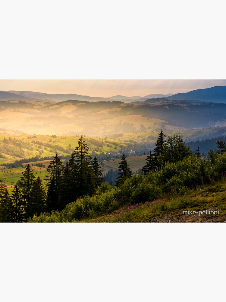Thumbnail 3 of 3, Sticker, spruce forest on hills at foggy sunrise designed and sold by mike-pellinni.