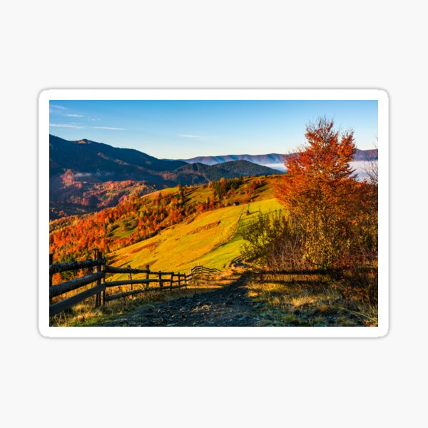 wooden fence through rural fields on hills in fog Sticker