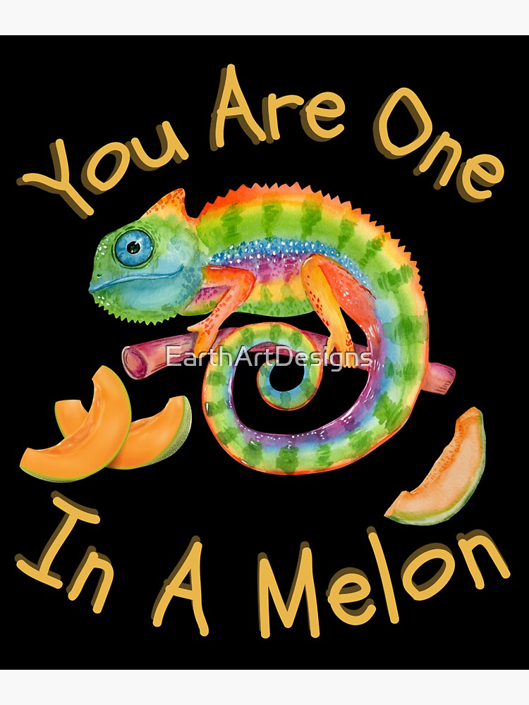 You Are One In A Melon Rainbow Chameleon Funny Design Sticker For Sale By Earthartdesigns 4221