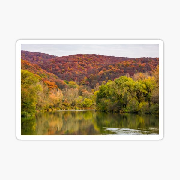 river in mountains among the forest in autumn Sticker