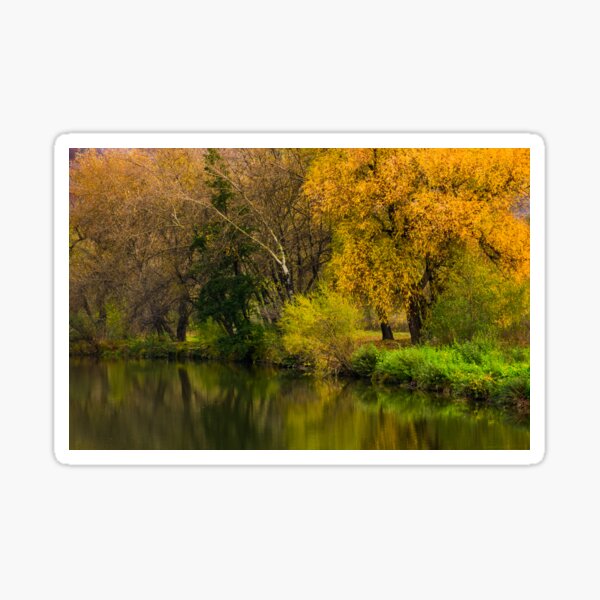 forest with yellow foliage near the river Sticker