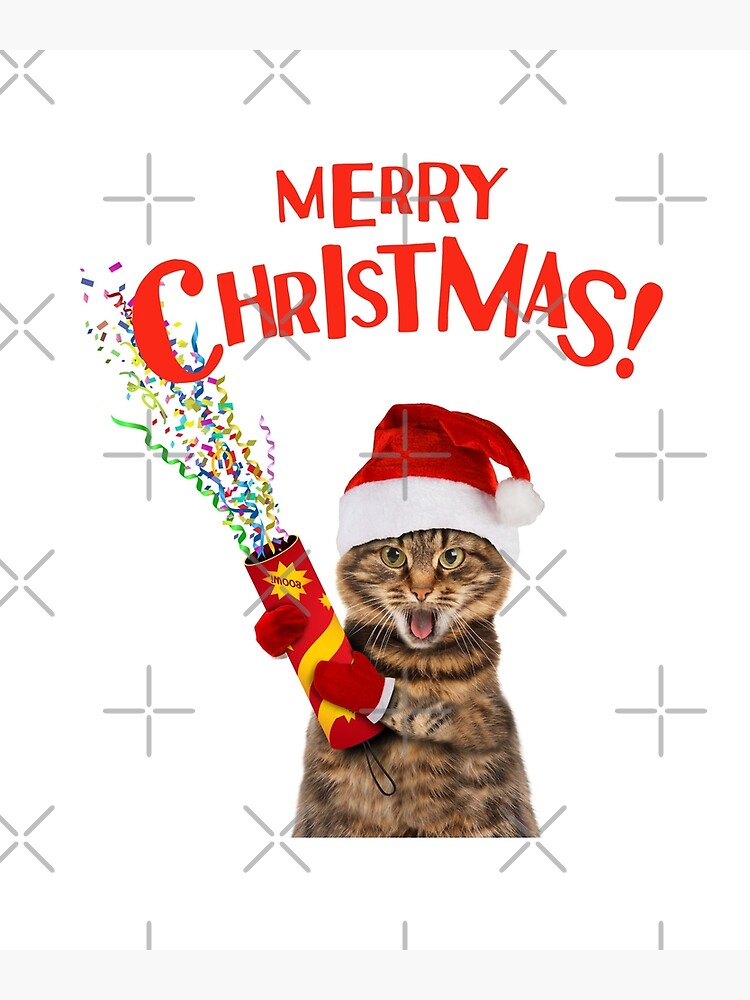 Merry christmas cat best sale