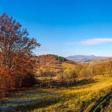 Artwork thumbnail, trees with red foliage in autumnal countryside by mike-pellinni