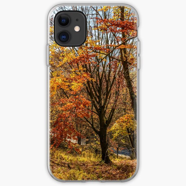 forest in golden brown foliage on sunny day iPhone Soft Case