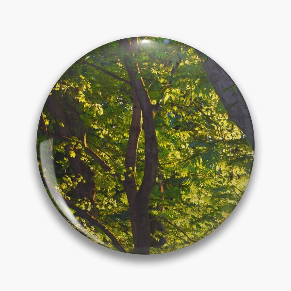Item preview, Light Rays Through the Trees  designed and sold by BritishYank.