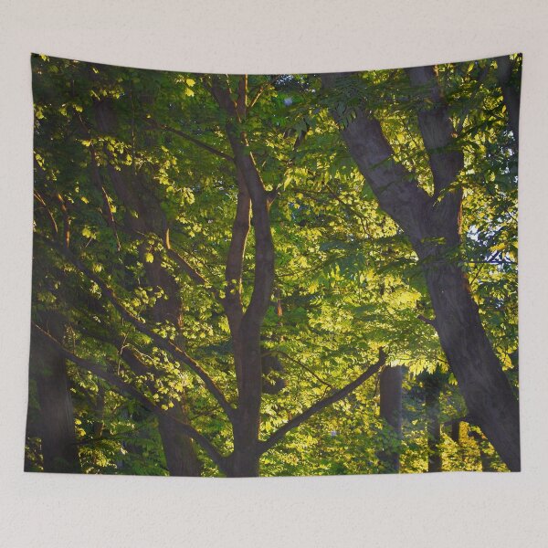 Item preview, Light Rays Through the Trees  designed and sold by BritishYank.