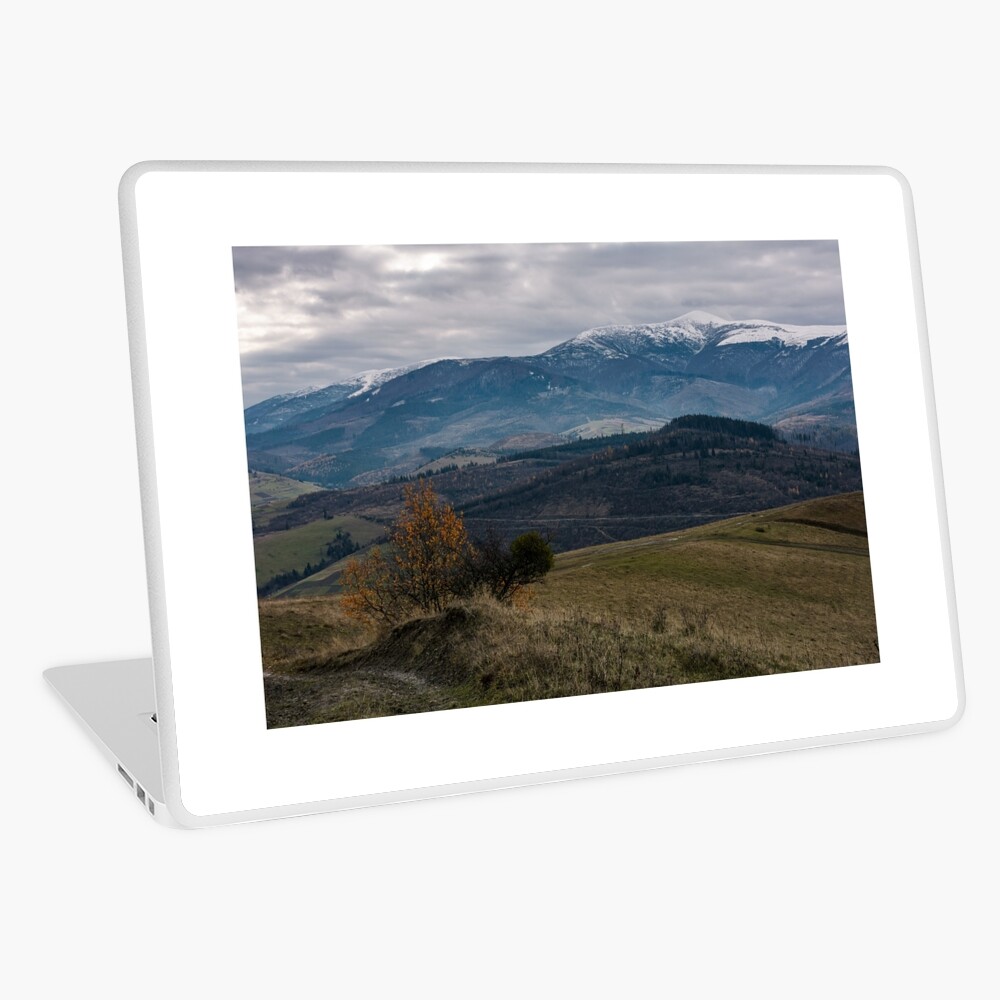 Item preview, Laptop Skin designed and sold by mike-pellinni.