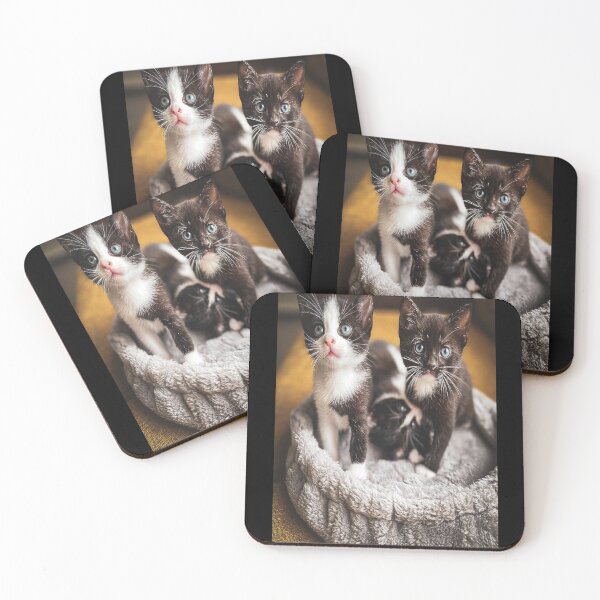 Item preview, Beautiful medium grown kittens designed and sold by Ethem Eskil.