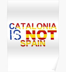 L'Estelada Blava Cor Catalunya Poster