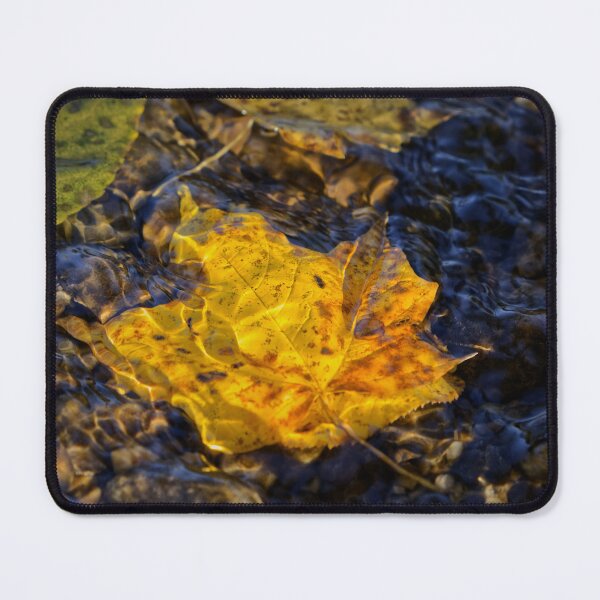 Item preview, Autumn leaves floating in water designed and sold by MKP Productions.