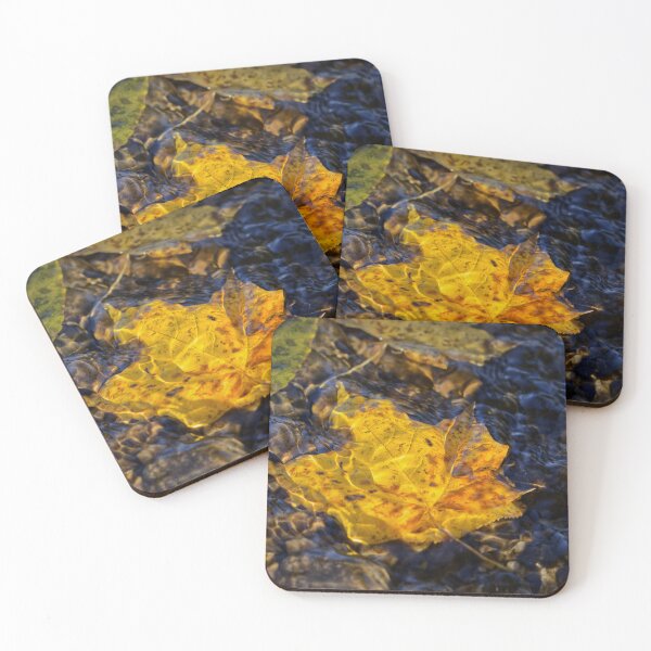 Item preview, Autumn leaves floating in water designed and sold by MKP Productions.