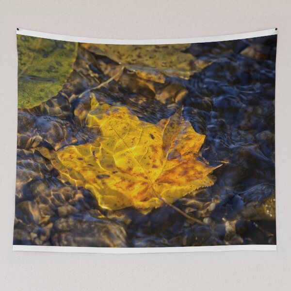 Item preview, Autumn leaves floating in water designed and sold by MKP Productions.