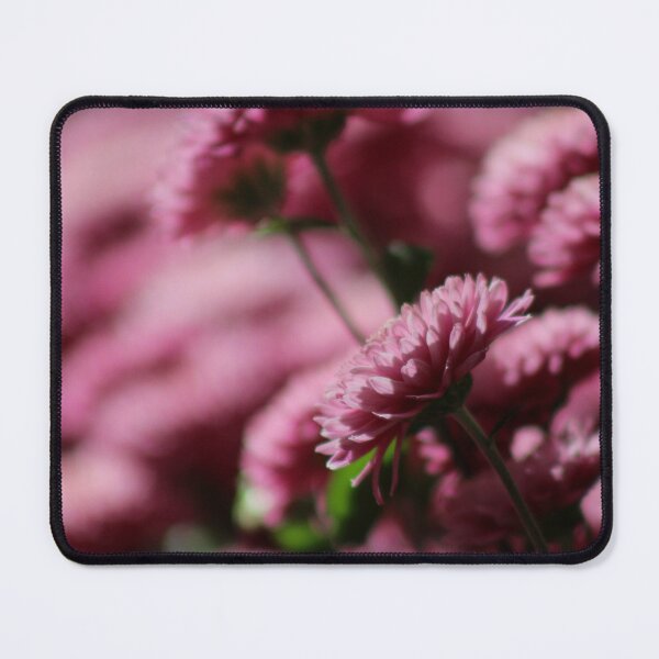 Item preview, Spotlight designed and sold by ryanmsorel.