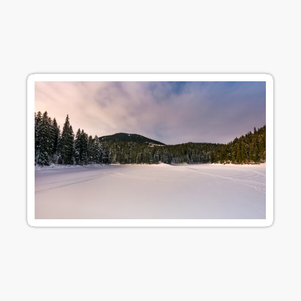 frozen lake in snowy forest Sticker
