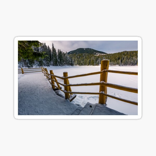 snow covered forest lake Synevyr in Carpathians Sticker