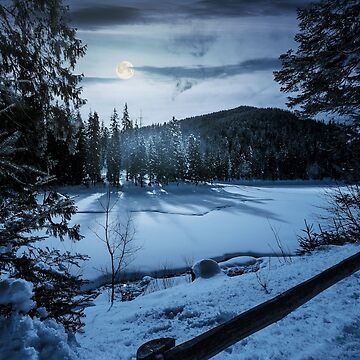Artwork thumbnail, spruce forest on winter night in full moon light by mike-pellinni