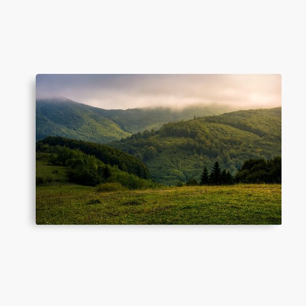 misty morning in green mountains Canvas Print