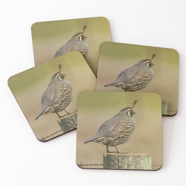 Item preview, CA Quail designed and sold by jvnimages.