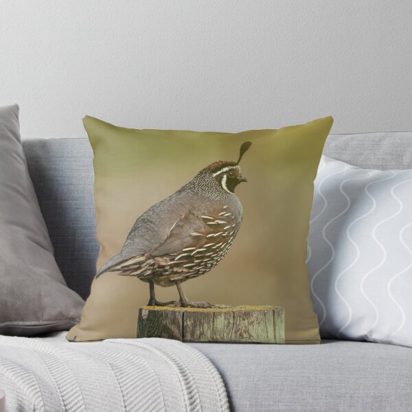 Item preview, CA Quail designed and sold by jvnimages.