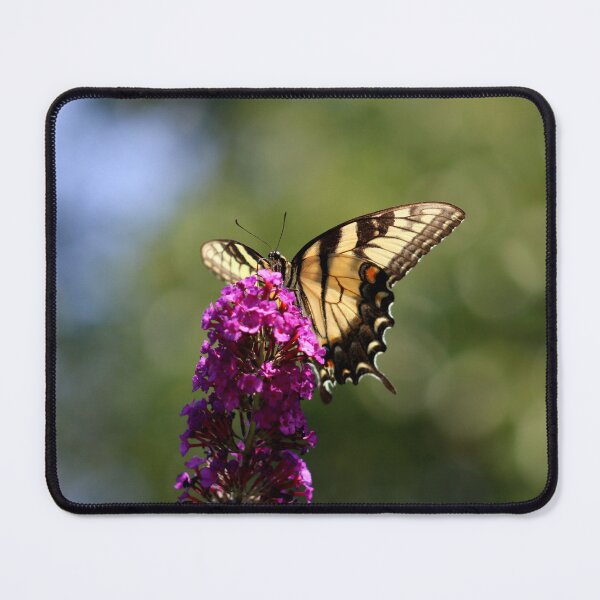 Item preview, Winged Sunshine designed and sold by ryanmsorel.