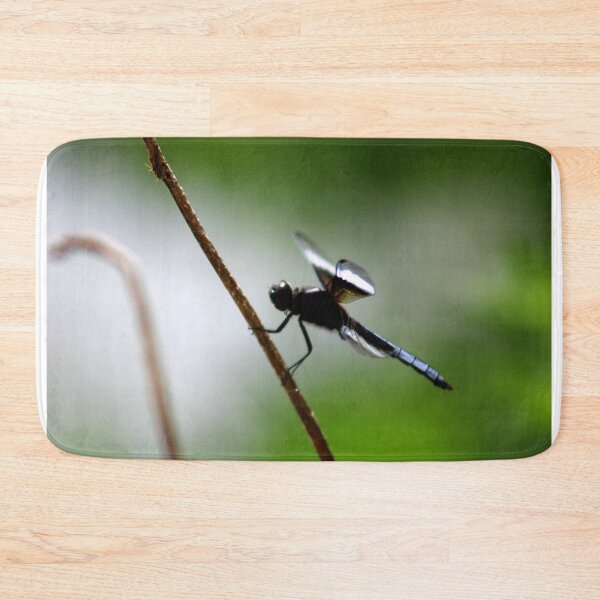 Item preview, Lakeside designed and sold by ryanmsorel.