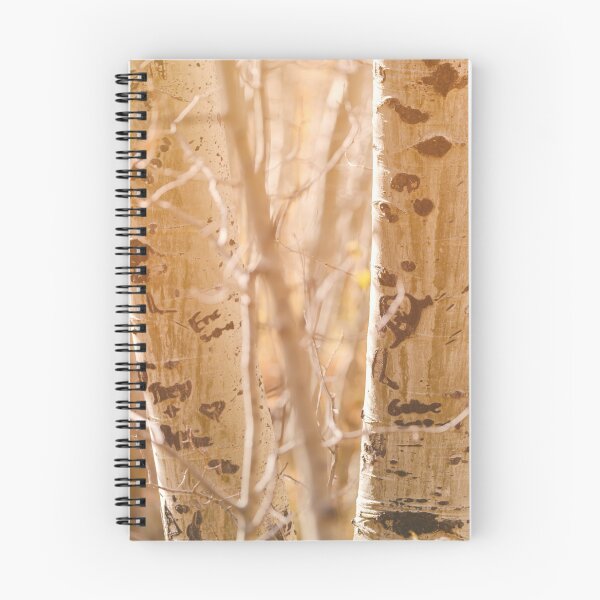 Item preview, Aspens designed and sold by jvnimages.
