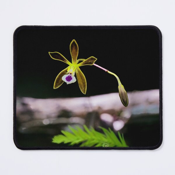 Item preview, Butterfly Orchid designed and sold by Dead-Moroz.