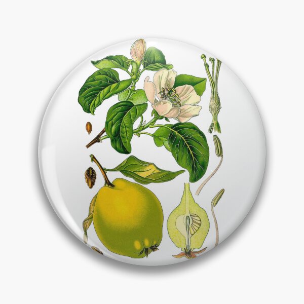 Item preview, Quince Tree designed and sold by Letters-Art.
