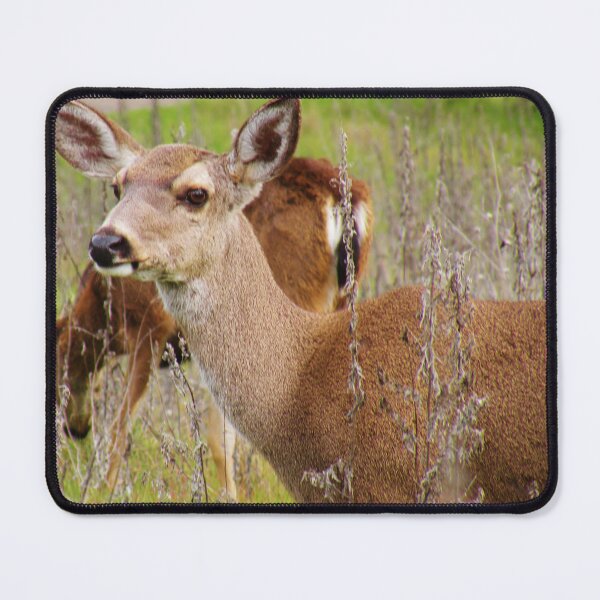 Item preview, Portrait of a Deer designed and sold by Martha Sherman.
