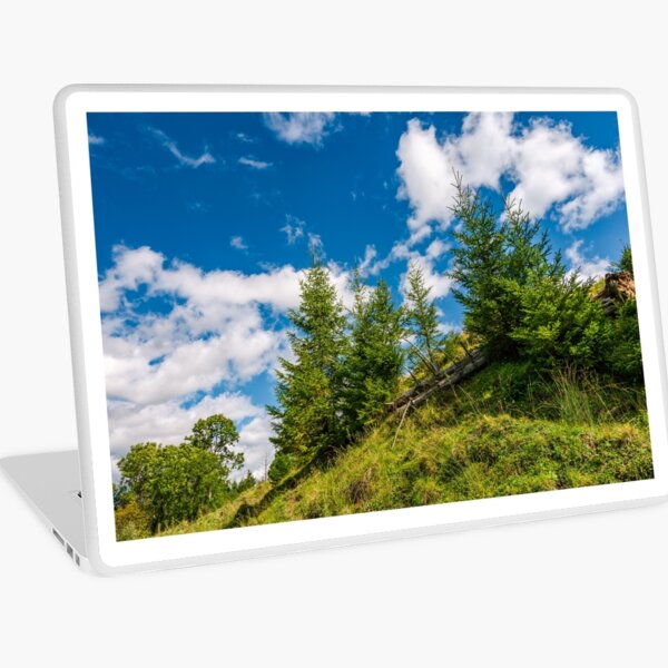 spruce trees on a slope under the blue sky Laptop Skin