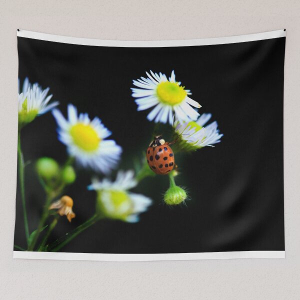 Item preview, Red ladybug sitting on flower designed and sold by olena2552.
