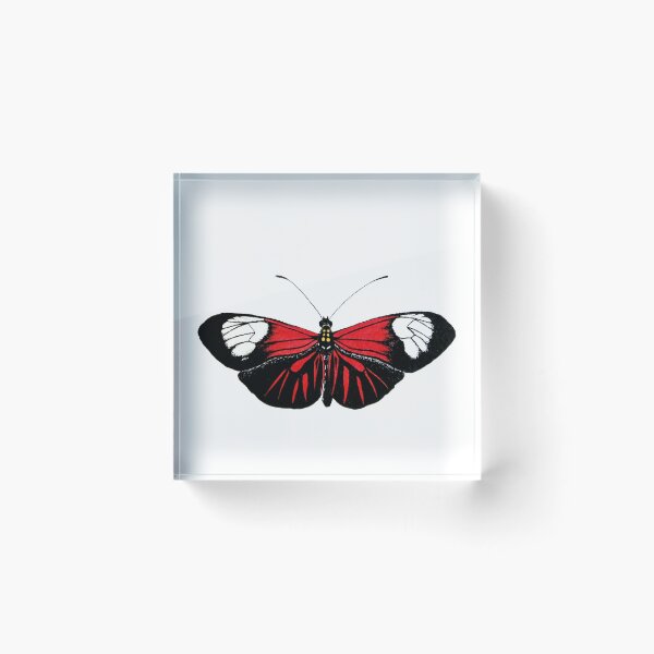 Item preview, Postman Butterfly Watercolor designed and sold by alsho.
