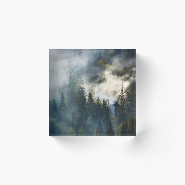 smoke rise above spruce forest Acrylic Block