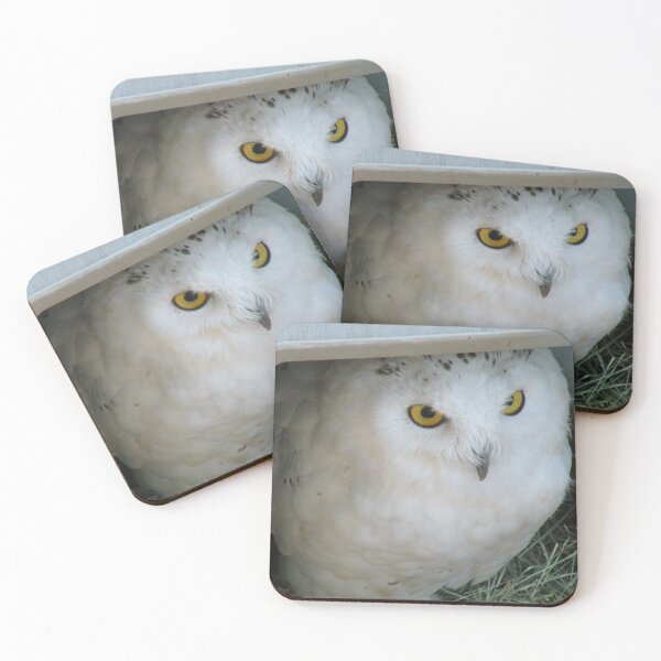 Item preview, Snowy Owl in Shelter designed and sold by Martha Sherman.
