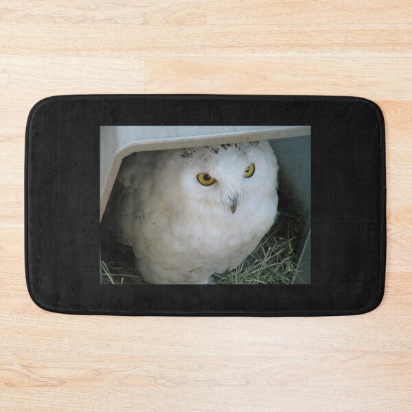 Item preview, Snowy Owl in Shelter designed and sold by Martha Sherman.
