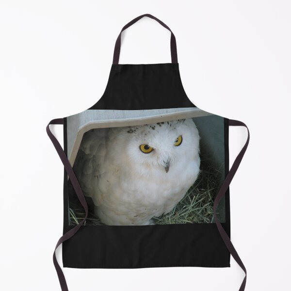 Item preview, Snowy Owl in Shelter designed and sold by Martha Sherman.