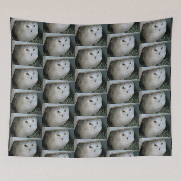 Item preview, Snowy Owl in Shelter designed and sold by Martha Sherman.