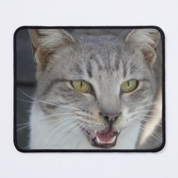 Item preview, cat by kiti levi designed and sold by kiti levi.