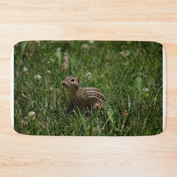 Item preview, Adventurer designed and sold by ryanmsorel.
