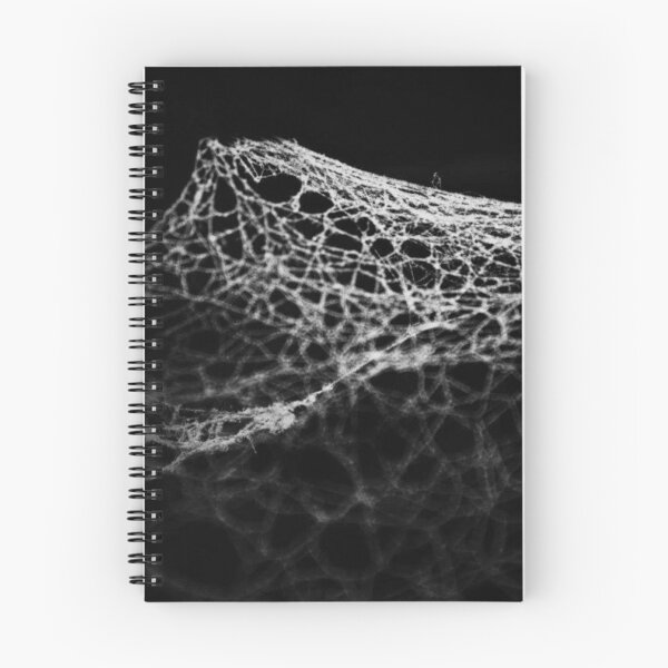 Item preview, cob webs black and white designed and sold by Francespoppy.